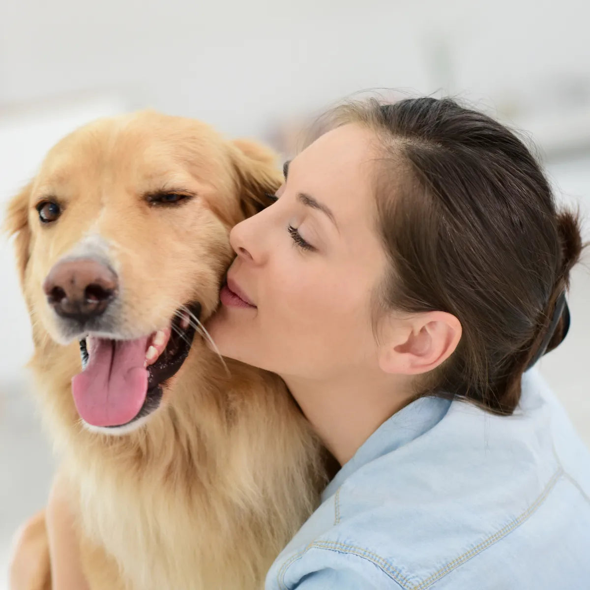 Animal Healing Attunement Package